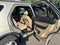 2017 Ford Explorer XLT AWD 4dr SUV