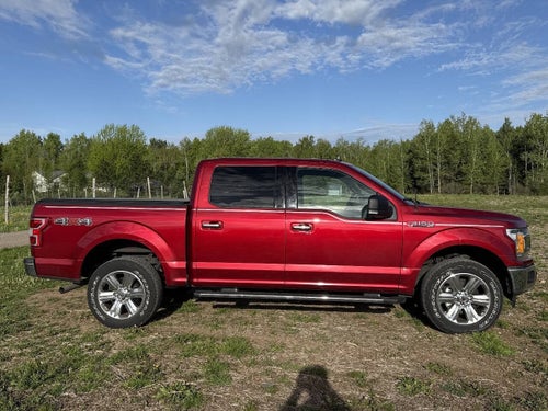 2019 Ford F-150 XLT 4x4 4dr SuperCrew 5.5 ft. SB