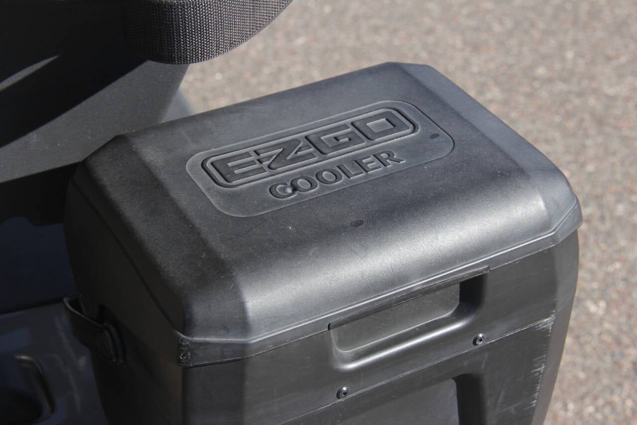 2020 E-Z-GO RXV ELiTE Base